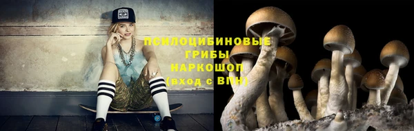 мет Каменногорск