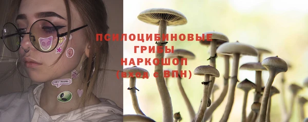 MESCALINE Каменка