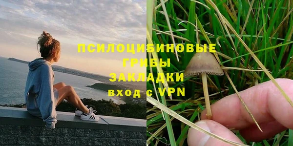 мет Каменногорск