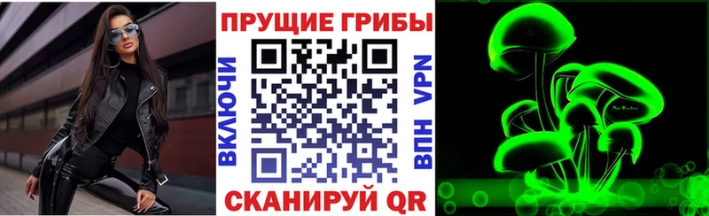 Купить закладки  Туран  Псилоцибиновые грибы прущие грибы 